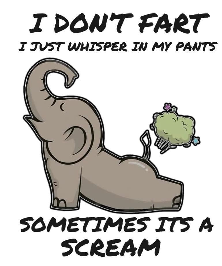 I Don’t Just Fart, Thermos, Travel Mug