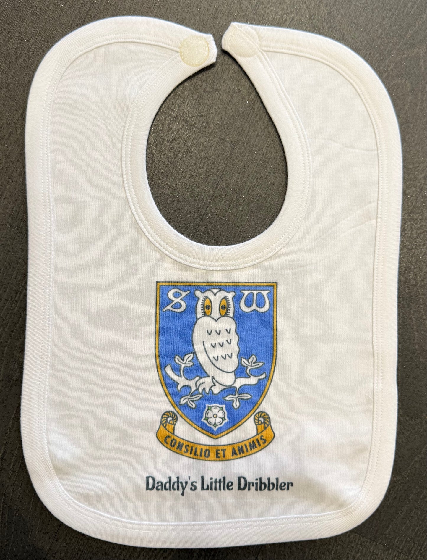 Sheffield Wednesday Personalised Baby Bib! Family Name, Babies Name, Football Team