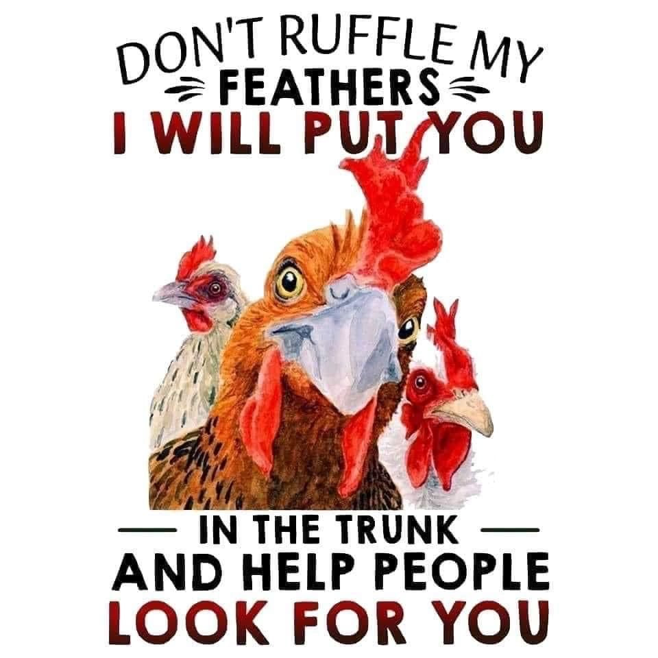 Don’t Ruffle My Feathers, Thermos, Travel Mug