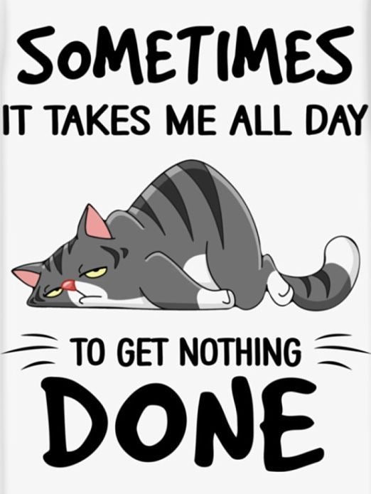 It Takes Me All Day to Get Nothing Done, Thermos, Travel Mug
