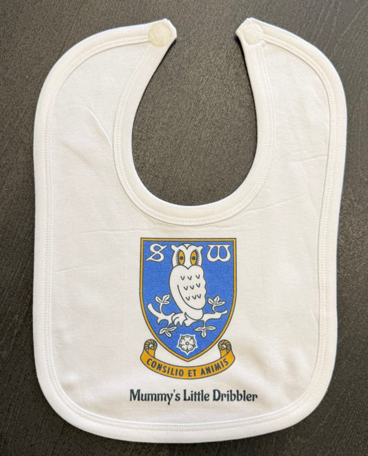 Sheffield Wednesday Personalised Baby Bib! Family Name, Babies Name, Football Team