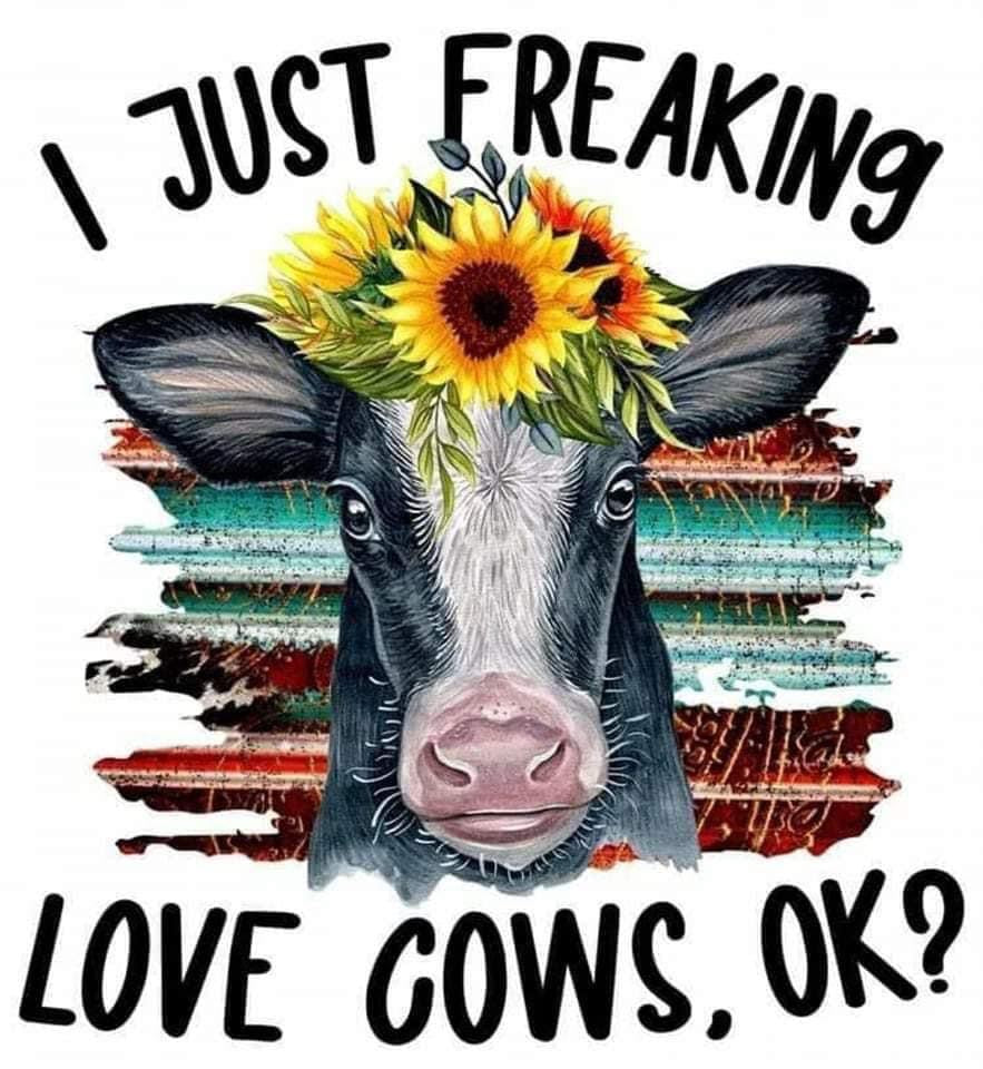 I Just Freaking Love Cows, Ceramic Mug, Coaster, Cushion, Water Bottle, Keyring, Travel Mug