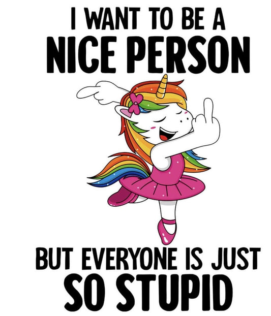 I Want to be a Nice Person, But Everyone is Stupid, Coaster, Cushion, Water Bottle, Keyring, Travel Mug,