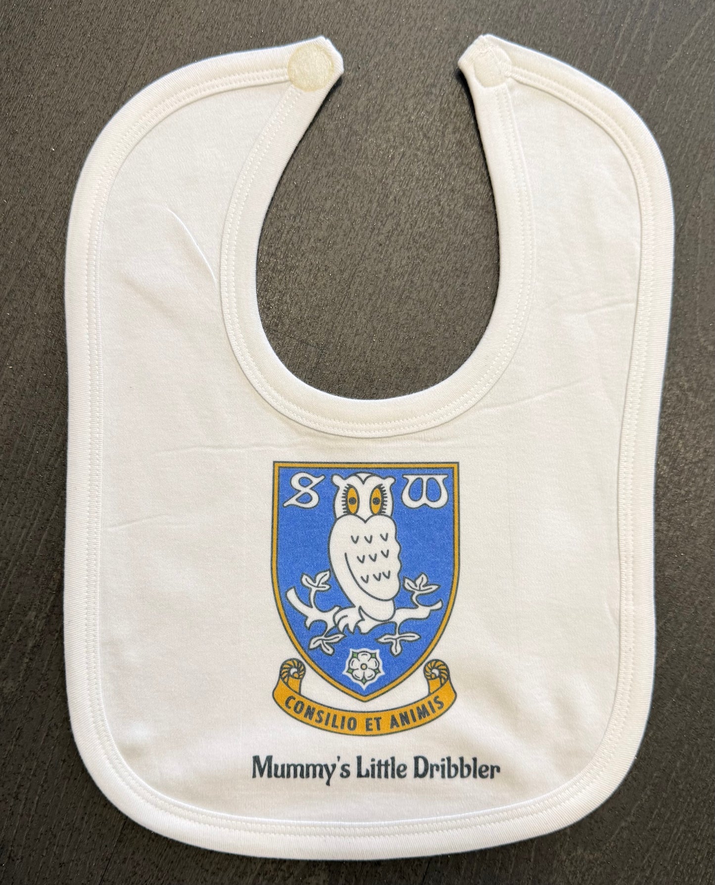 Personalised Baby Bib! Family Name, Babies Name, Football Team