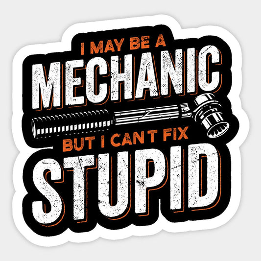 I May Be a Mechanic, But I Can’t Fix Stupid, Coaster, Cushion, Water Bottle, Keyring, Travel Mug