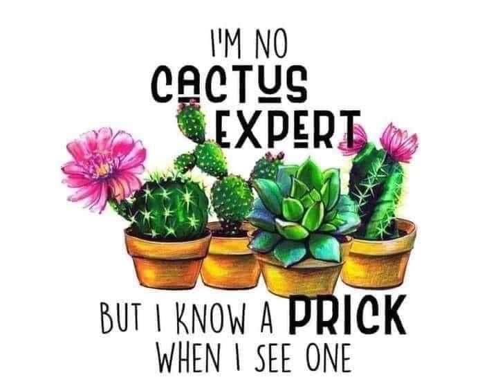 Cactus Expert, Ceramic Mug, Coaster, Cushion, Water Bottle, Keyring, Travel Mug