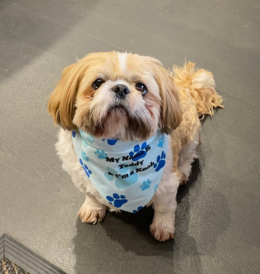 Large Dog Bandana, Pet Scalf, Pet Collar, Personalised