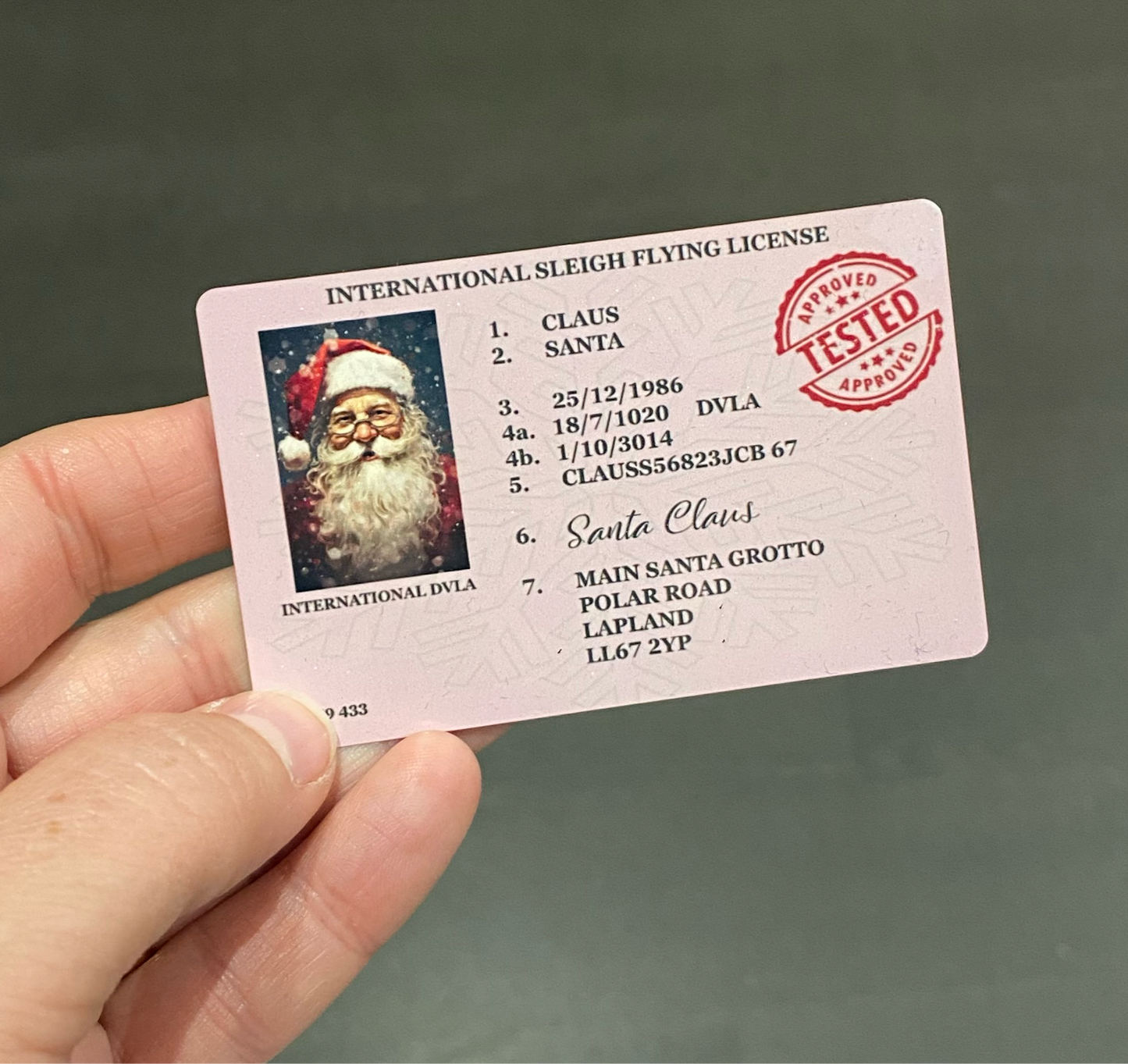 Adults Only! Christmas, Novelty, Santa Lost Licence