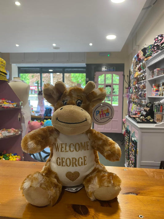 Brown Giraffe, Mini Mumbles Bear, Print Me Bear, Personalised Soft Toy