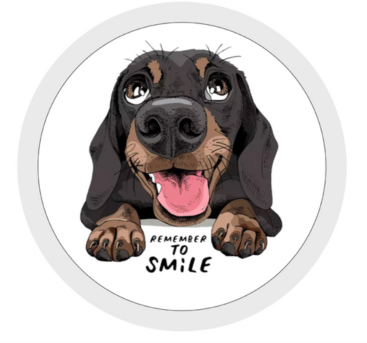 Remember to Smile, Dachshund, Sausage Dog, Travel Mug, Ceramic Mug, Coaster, Cushion, Water Bottle, Keyring